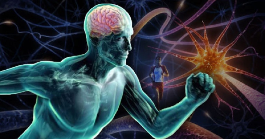 Séance NeuroTracker